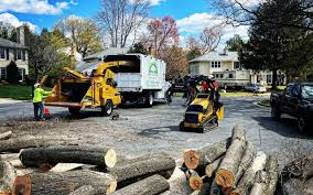 Best Storm Damage Tree Cleanup  in Prattville, AL