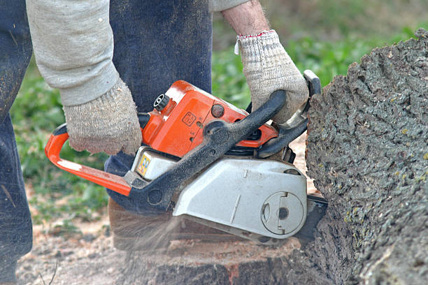 Best Seasonal Cleanup (Spring/Fall)  in Prattville, AL